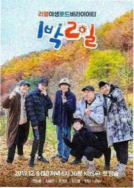 灶前一百天综艺封面
